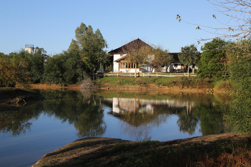 فندق Ardea Purpurea فيلامانريكي دي لا كونديسا المظهر الخارجي الصورة