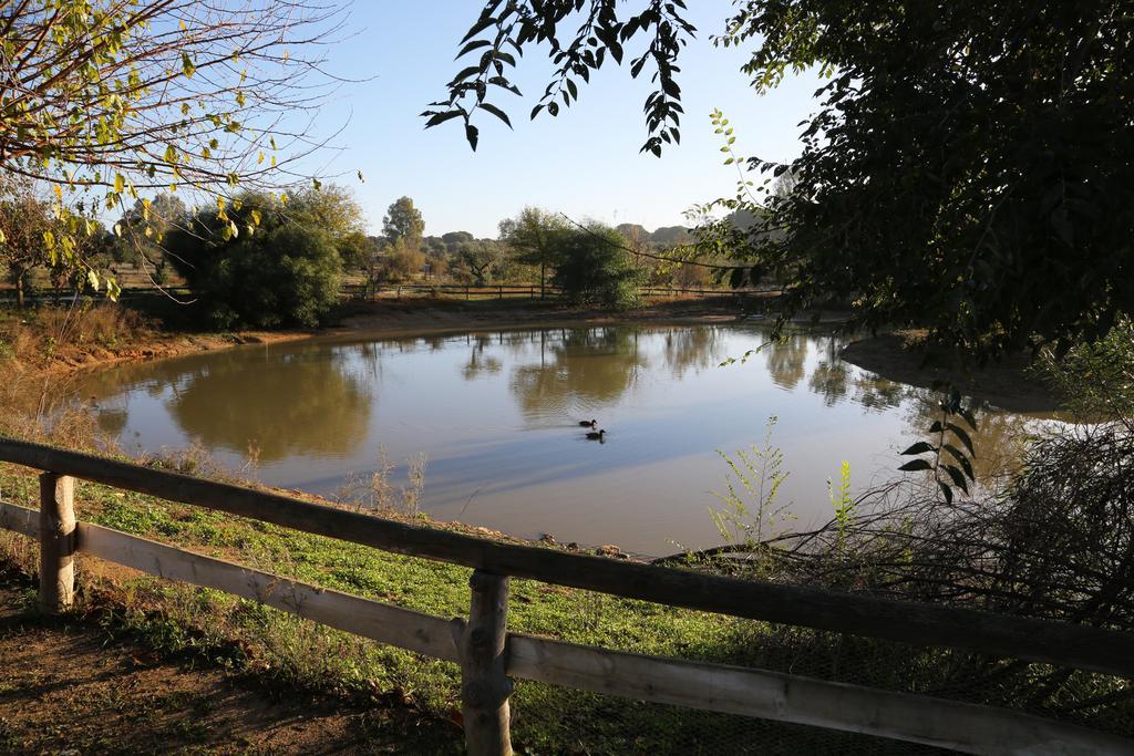 فندق Ardea Purpurea فيلامانريكي دي لا كونديسا المظهر الخارجي الصورة