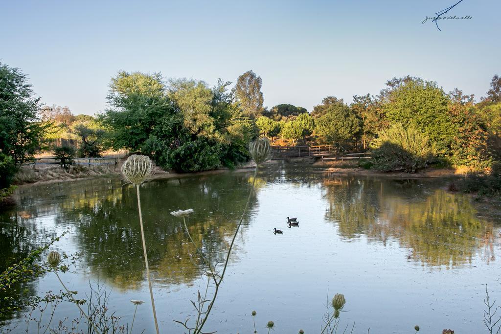 فندق Ardea Purpurea فيلامانريكي دي لا كونديسا المظهر الخارجي الصورة