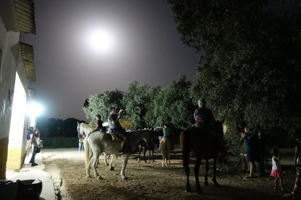 فندق Ardea Purpurea فيلامانريكي دي لا كونديسا المظهر الخارجي الصورة