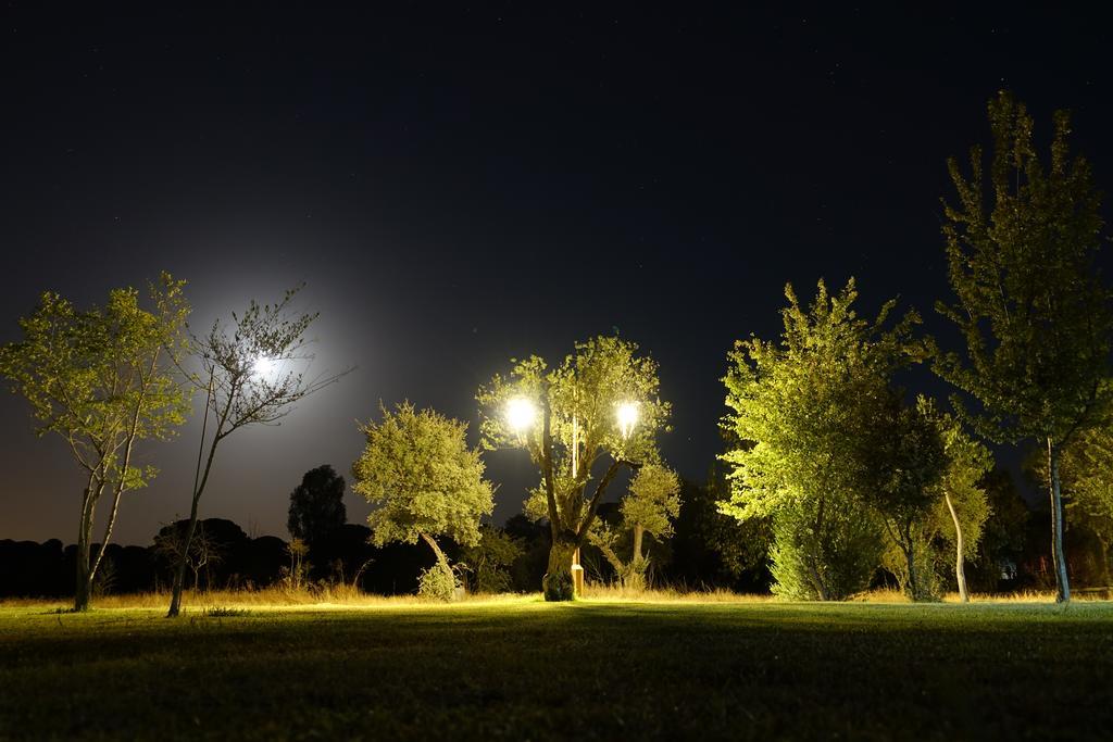 فندق Ardea Purpurea فيلامانريكي دي لا كونديسا المظهر الخارجي الصورة