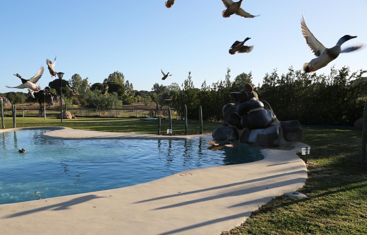 فندق Ardea Purpurea فيلامانريكي دي لا كونديسا المظهر الخارجي الصورة